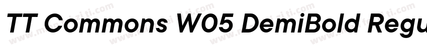 TT Commons W05 DemiBold Regular下载字体转换